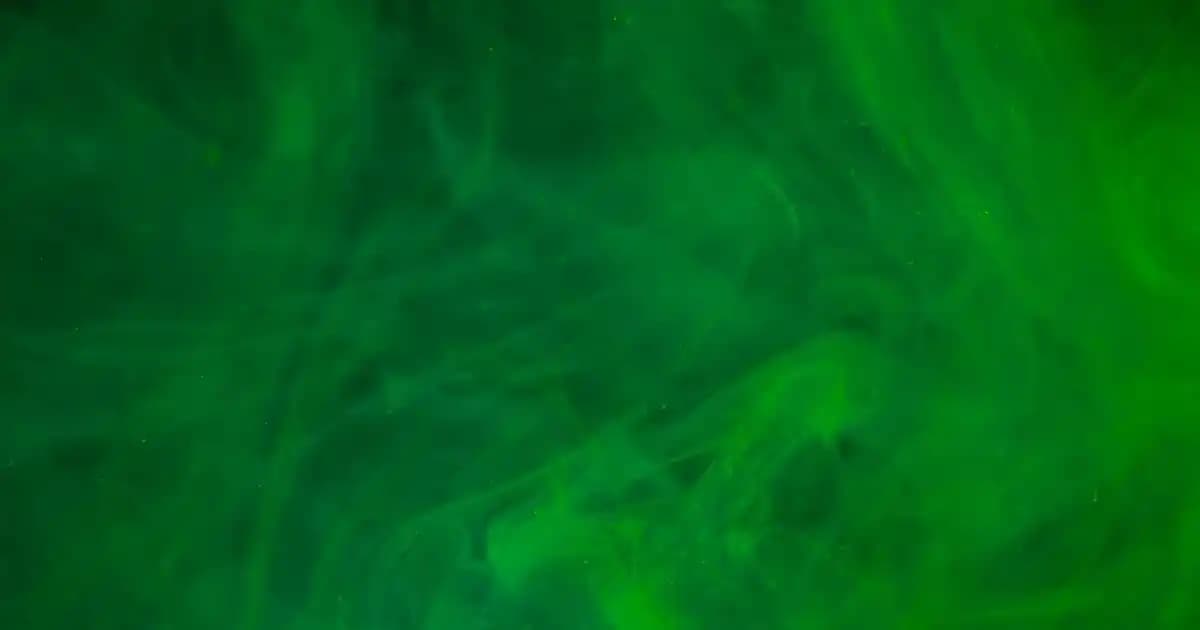 Organik Biberiye Yağı ile Doğal Güzellik ve Bakım Rutinleri