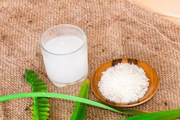 Pirinç Suyu Tonikleri ve Cilt Bakımında Kullanım Fırsatları