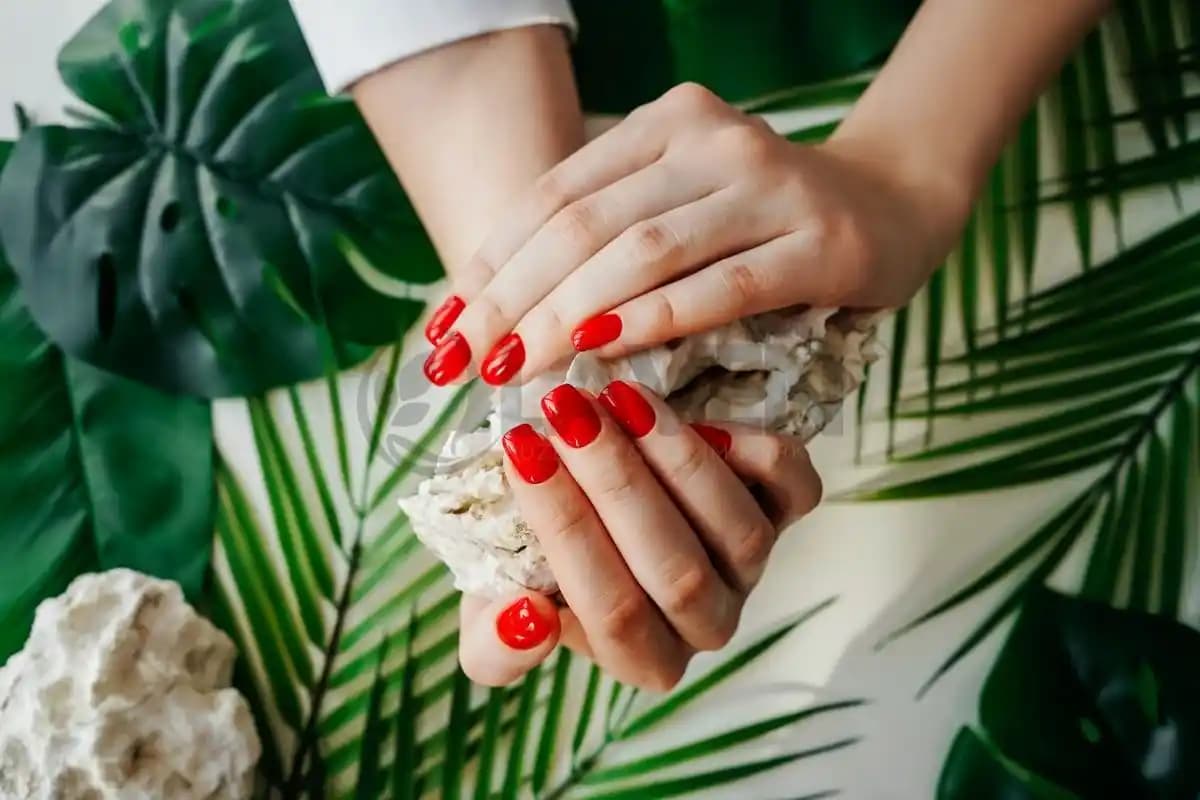 Protez Tırnak Ne Kadar Süre Dayanır ve Uzun Ömür İçin İpuçları