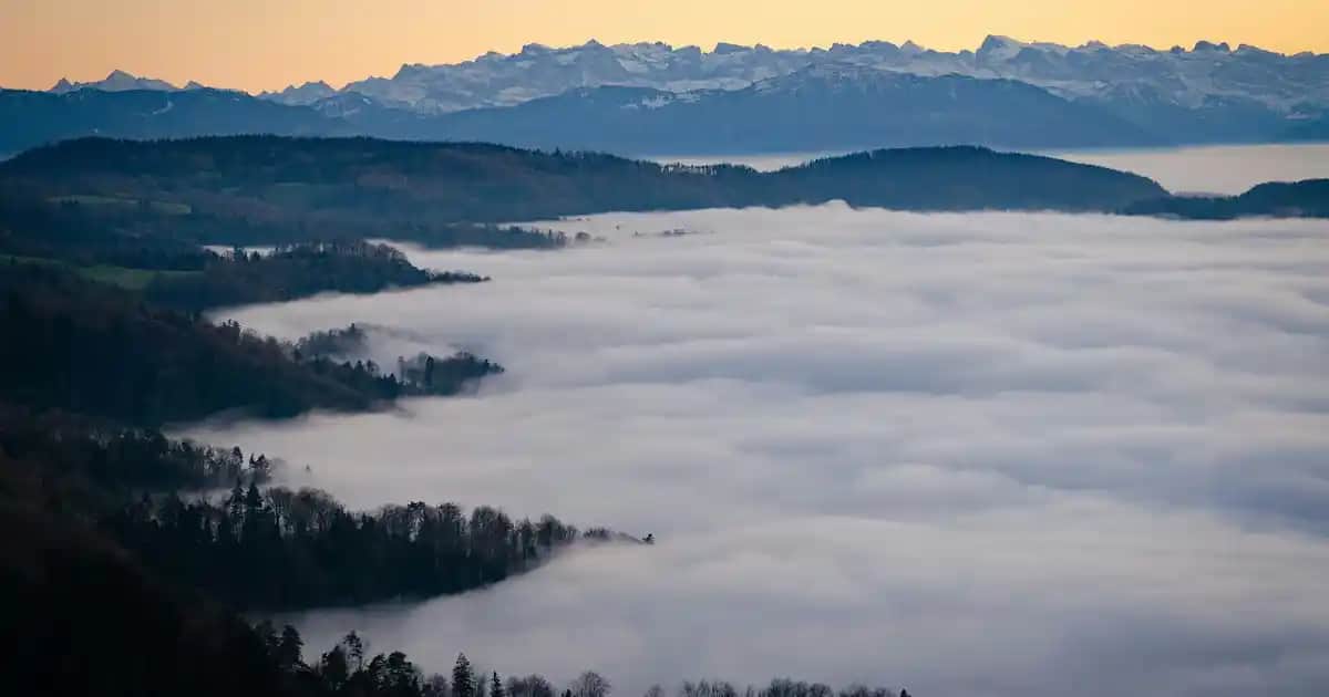 Saç Derisinde Beyaz Pullanma Nedenleri ve Etkili Çözüm Yolları Hakkında Bilgi