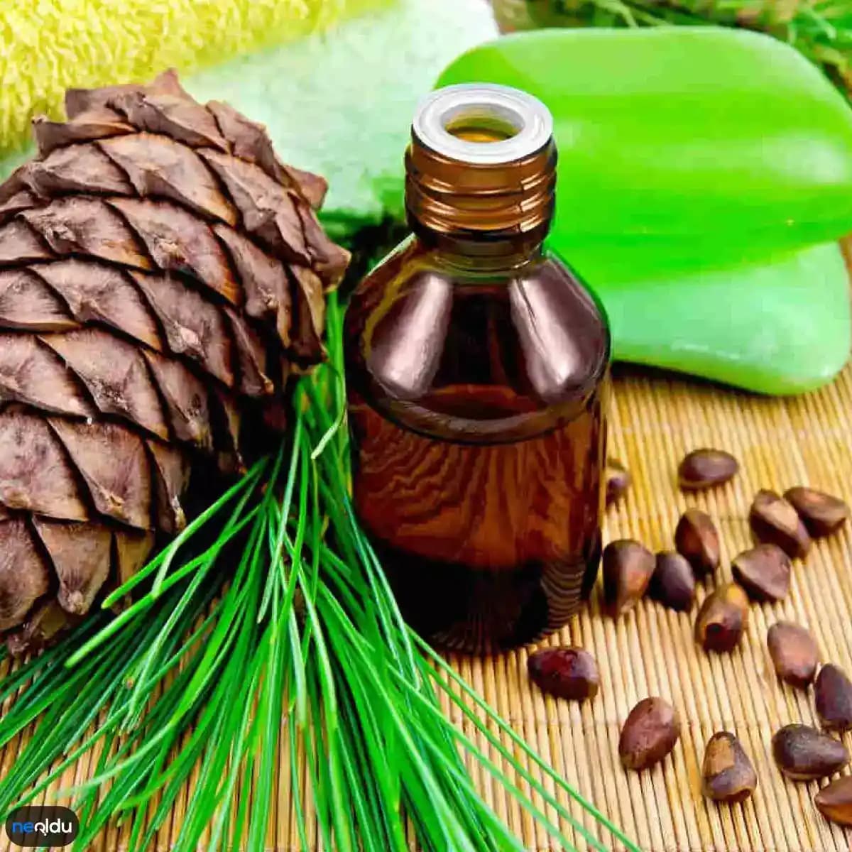 Saç Derisine İyi Gelen Doğal Yağlar ve Etkili Bakım Önerileri