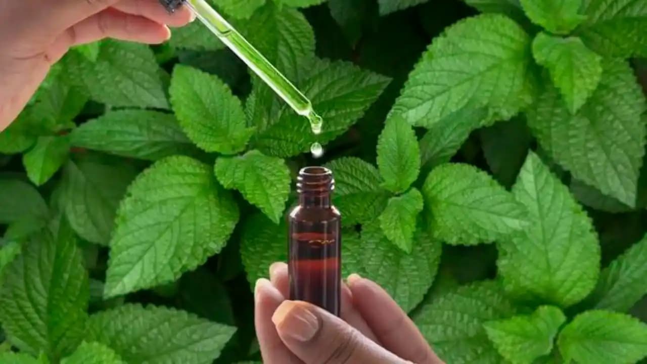 Saç Dökülmesine Karşı En Etkili Doğal Yağlar ve Kullanım İpuçları