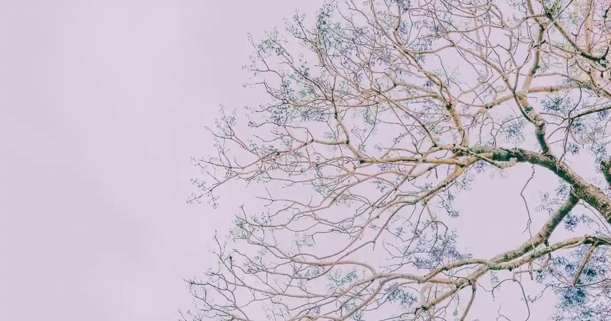 Saç Kopmasını Önleme ve Saç Sağlığını Koruma Yöntemleri Hakkında Detaylı Bilgiler