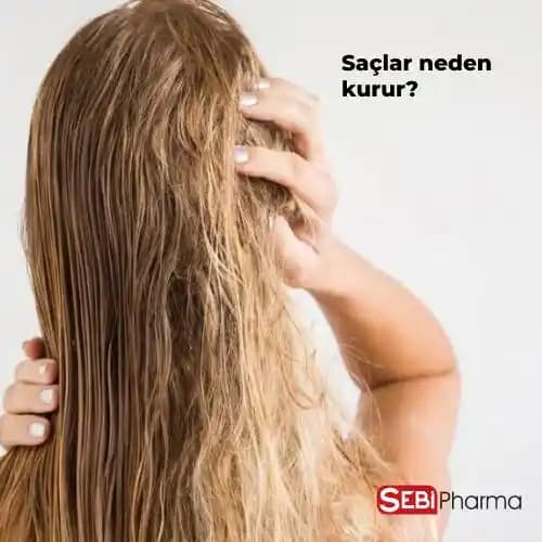 Saç Kurumasının Nedenleri ve Etkili Çözüm Yolları Hakkında Detaylı Bilgi