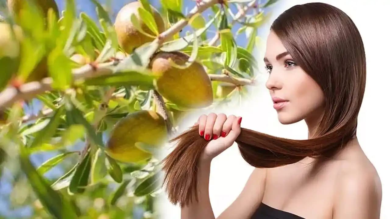 Saça Çay Sürmek: Doğal Güzellik ve Bakımın Güncel Yöntemleri ve Faydaları