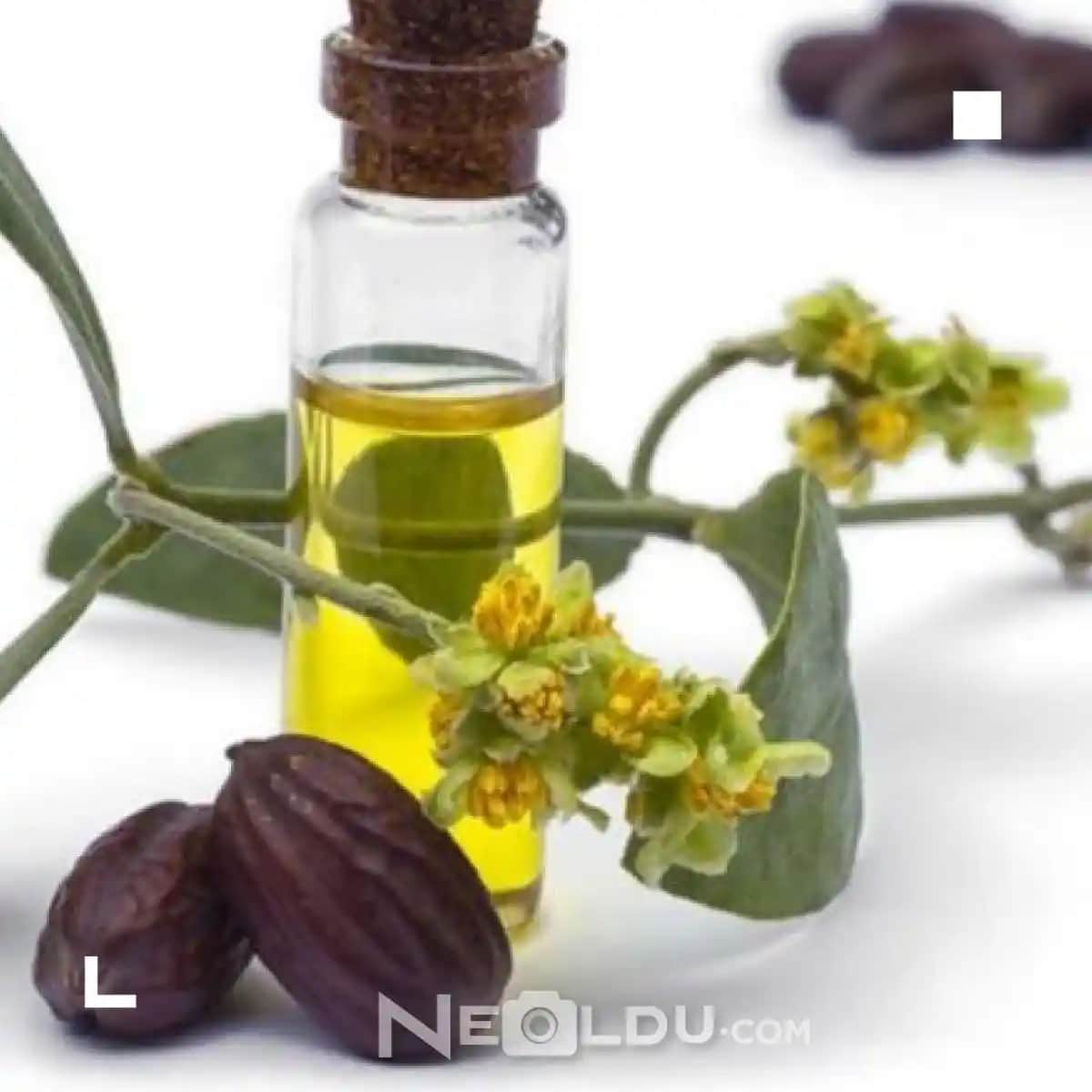 Saçı Güçlendiren Doğal Yağlar ve Saç Bakımında Kullanım Yöntemleri