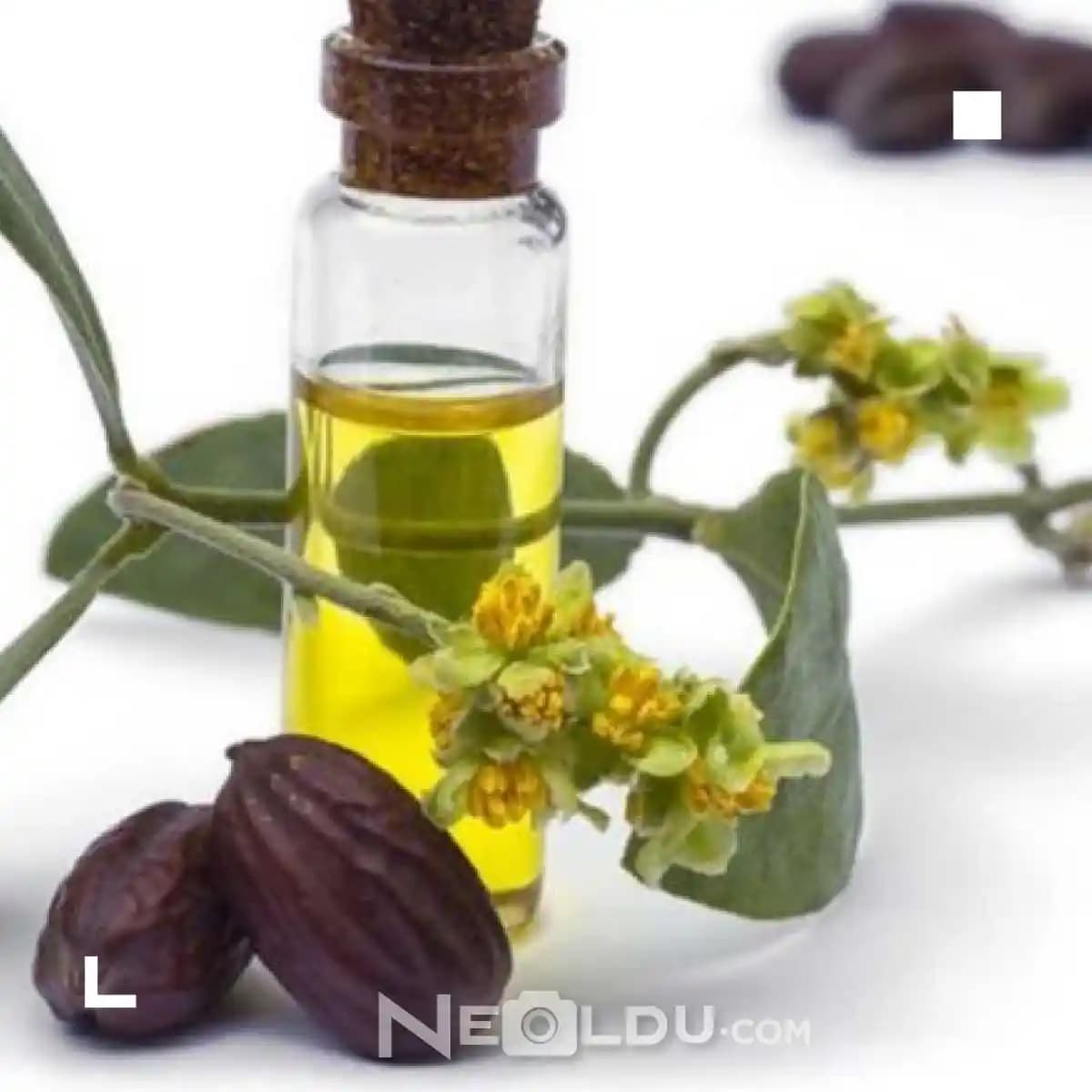 Saçı Güçlendiren Doğal Yağlar ve Saç Bakımında Kullanım Yöntemleri