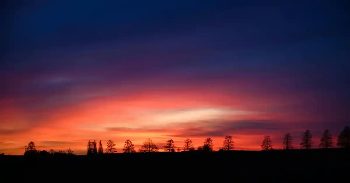 Şampanya Kızılı Saç Rengi: Doğal ve Şık Görünüm İçin Bilmeniz Gerekenler