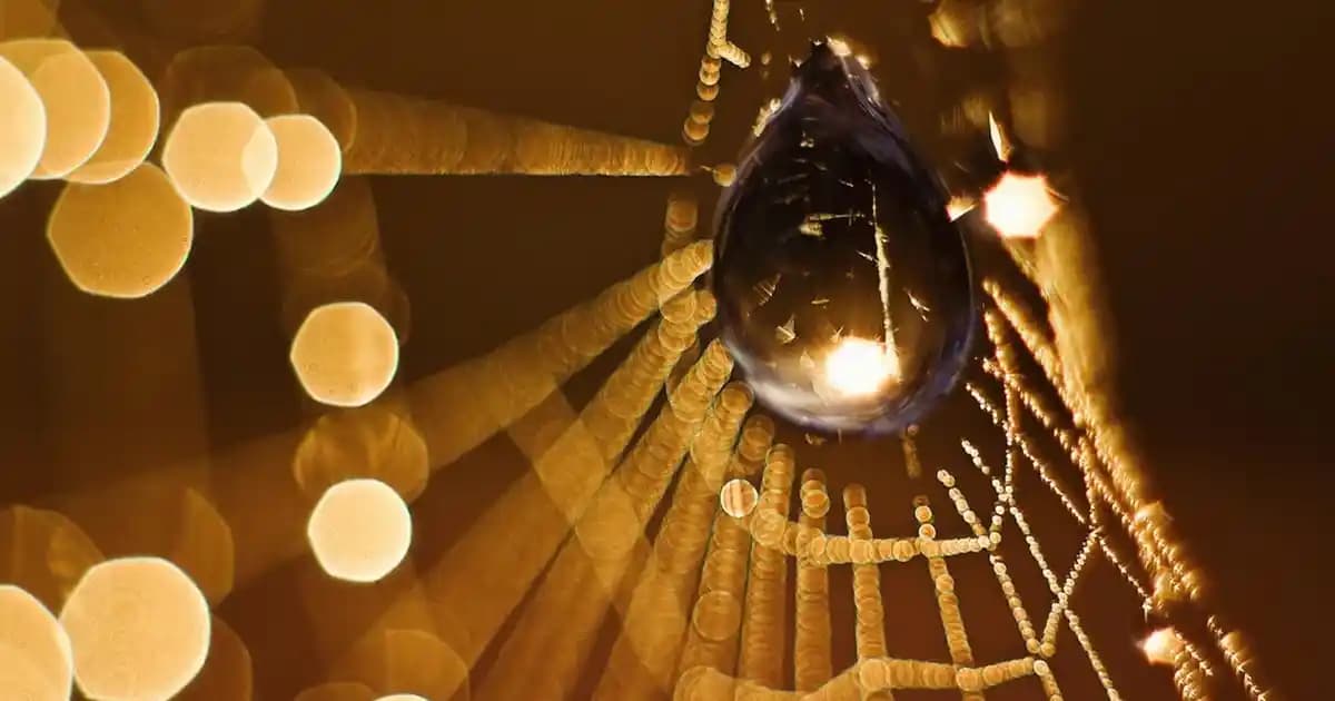 Sebamed Losyonlar: Hassas ve Sağlıklı Ciltler İçin Güvenilir Bakım Seçenekleri