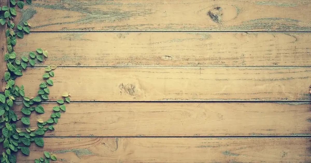 Sensodyne Yumuşak Kıllı Diş Fırçası Hassas Dişler İçin Güvenilir Temizlik Seçeneği