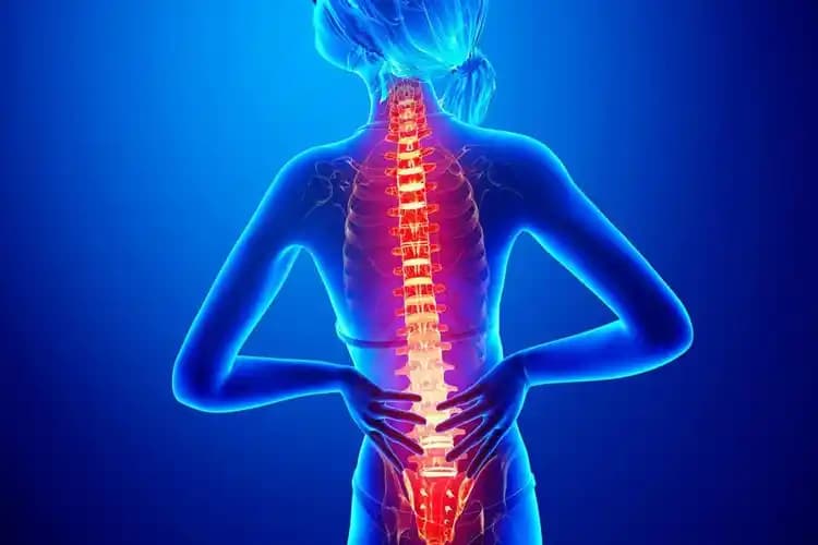 Sırt Çatlağı ve Kozmetik Yaklaşımlar: Etkili Çözüm Yolları ve Bakım İpuçları