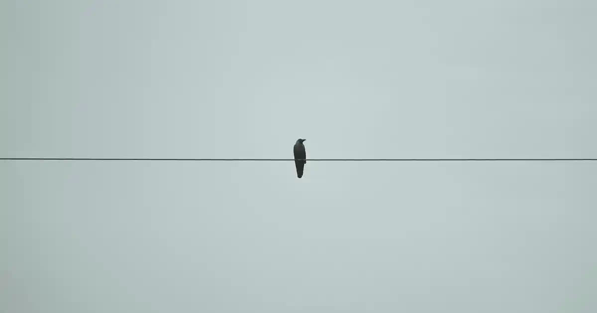 Sivilceler Ne Zaman Biter ve Cilt Sağlığını Koruma Yöntemleri