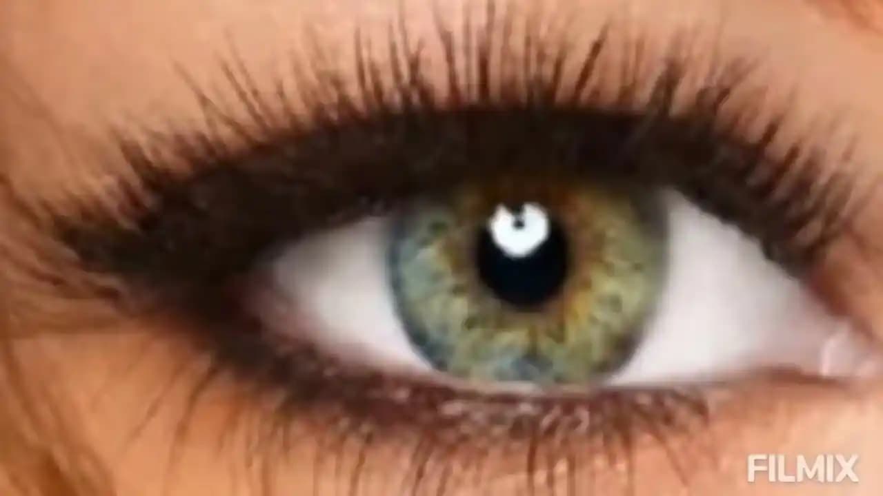 Şok Mağazalarında Uygun Fiyatlı ve Güvenilir Rimel Seçenekleri ve Makyaj Ürünleri