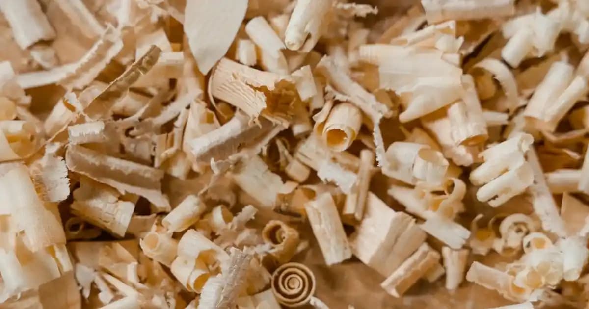 Sözler İçin Tırnak Modelleri ve Kendini İfade Etmenin Gücü