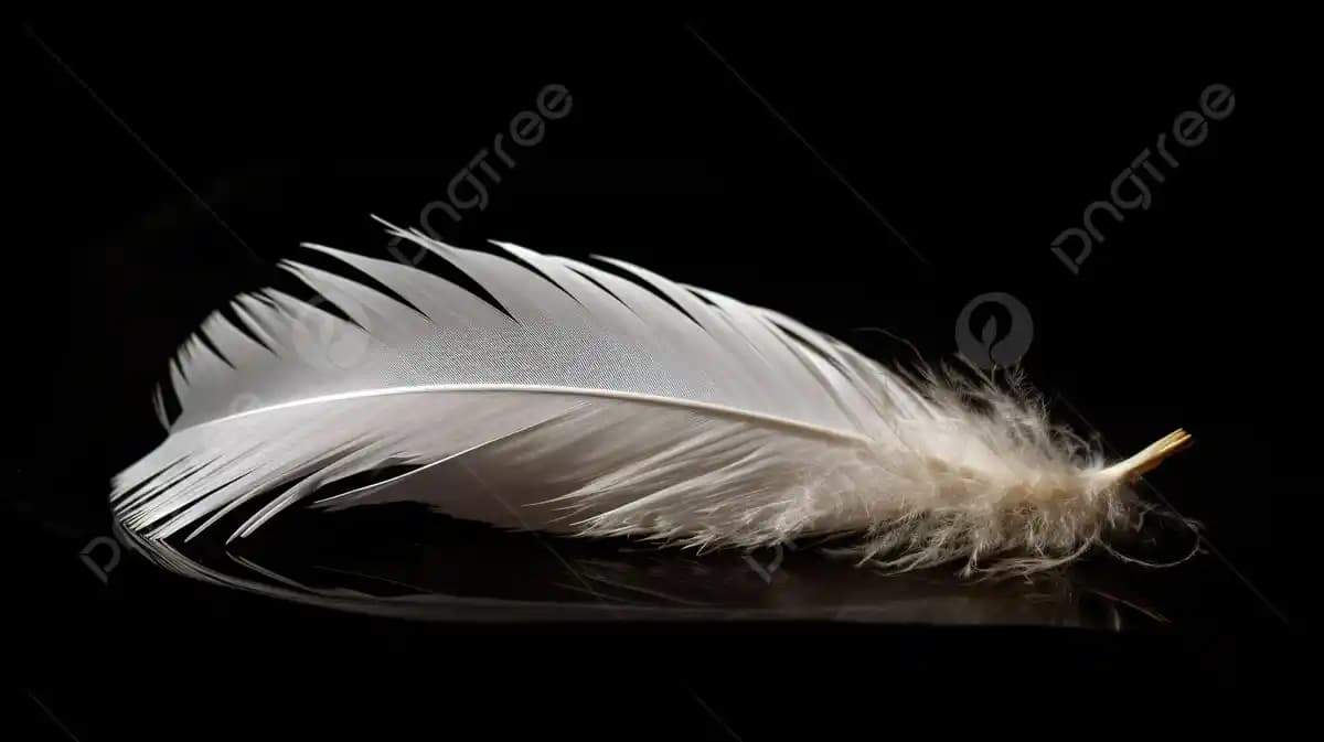 Tüylerin Kozmetik Bakımı ve Güncel Uygulamalar Hakkında Bilmeniz Gerekenler