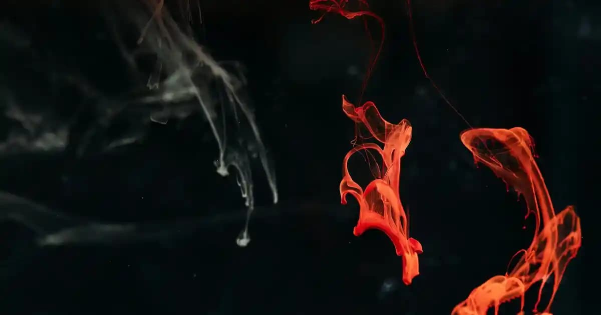 Victoria's Secret Night Vücut Spreyi: Gizemli ve Çekici Gece Kokusu Seçenekleri