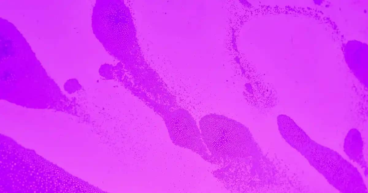 Vücut Alerjisi ve Kozmetik Ürünler: Sağlıklı Cilt İçin Bilinçli Seçimler ve Önleme Yöntemleri