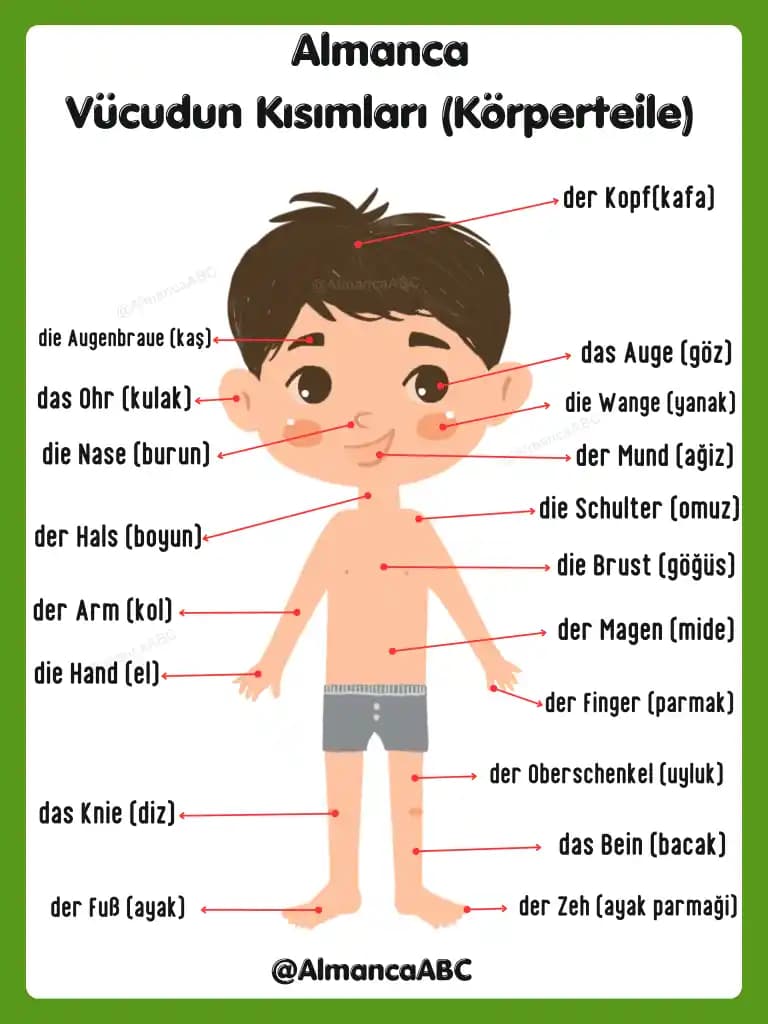 Vücut Kızarıklığının Nedenleri ve Etkili Kozmetik Yaklaşımlar