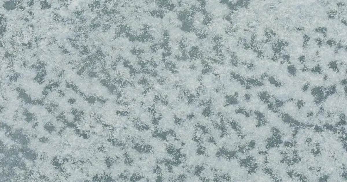 Watsons The Purest Güneş Kremi ile Cilt Koruma Yöntemleri ve Seçim İpuçları