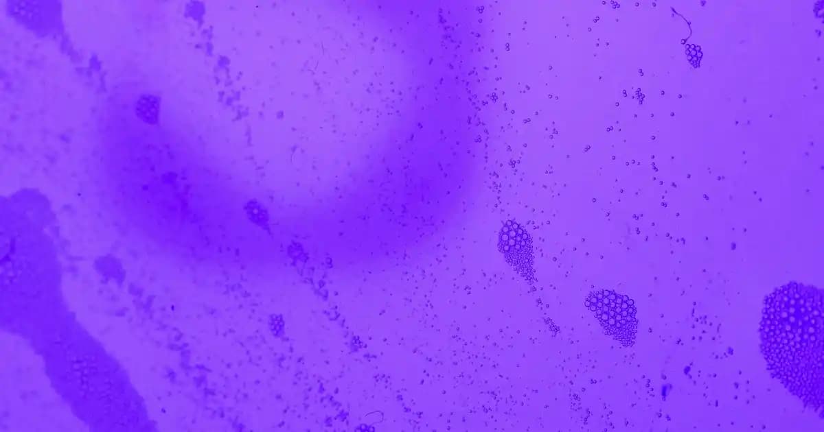 Wellcare B12 Sprey ile Cilt Güzelliğinde Yenilik ve Sağlık Destekleri