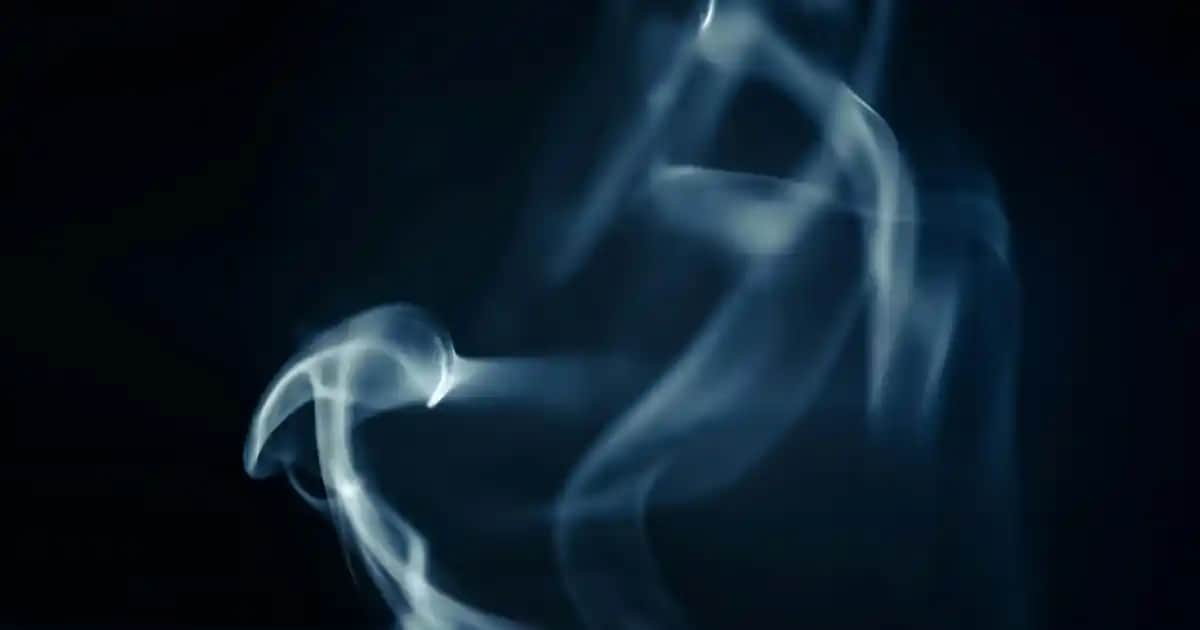 Yağlı Cilt Belirtileri ve Doğru Bakım Yöntemleri Hakkında Detaylı Rehber