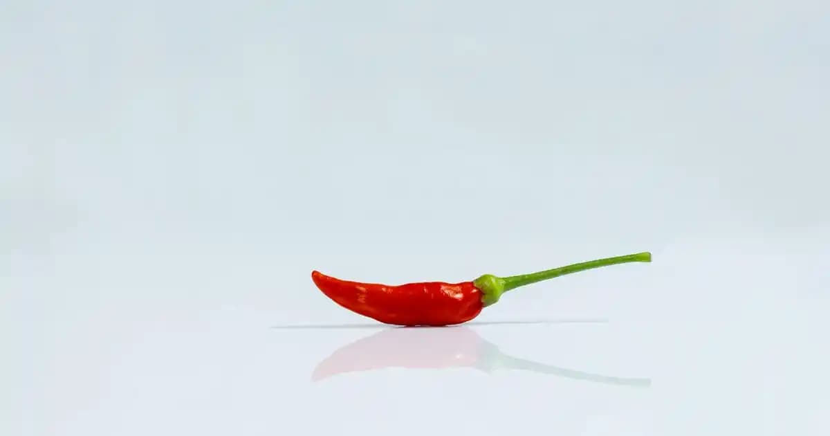 Yağlı Saç Derisi Nasıl Temizlenir: Doğru Bakım İpuçları ve Temizlik Yöntemleri