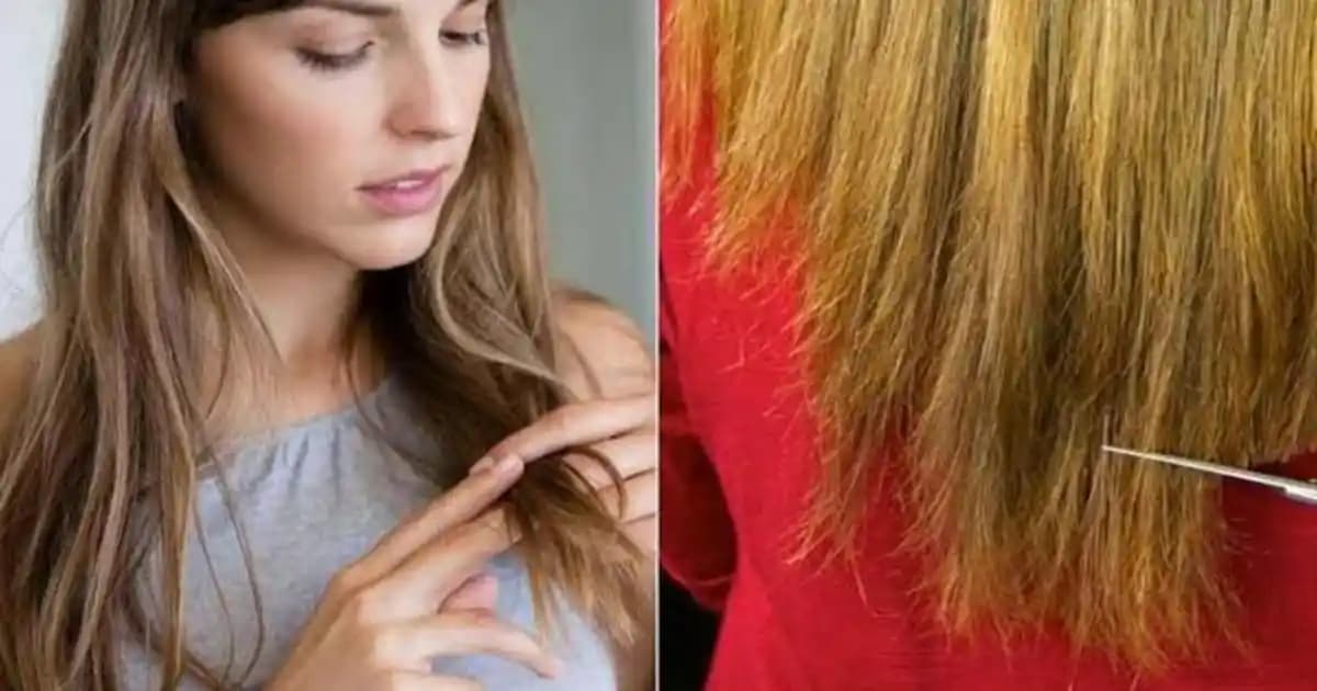 Yıpranmış Saç Uçlarına Etkili Çözüm ve Bakım Yöntemleri Rehberi