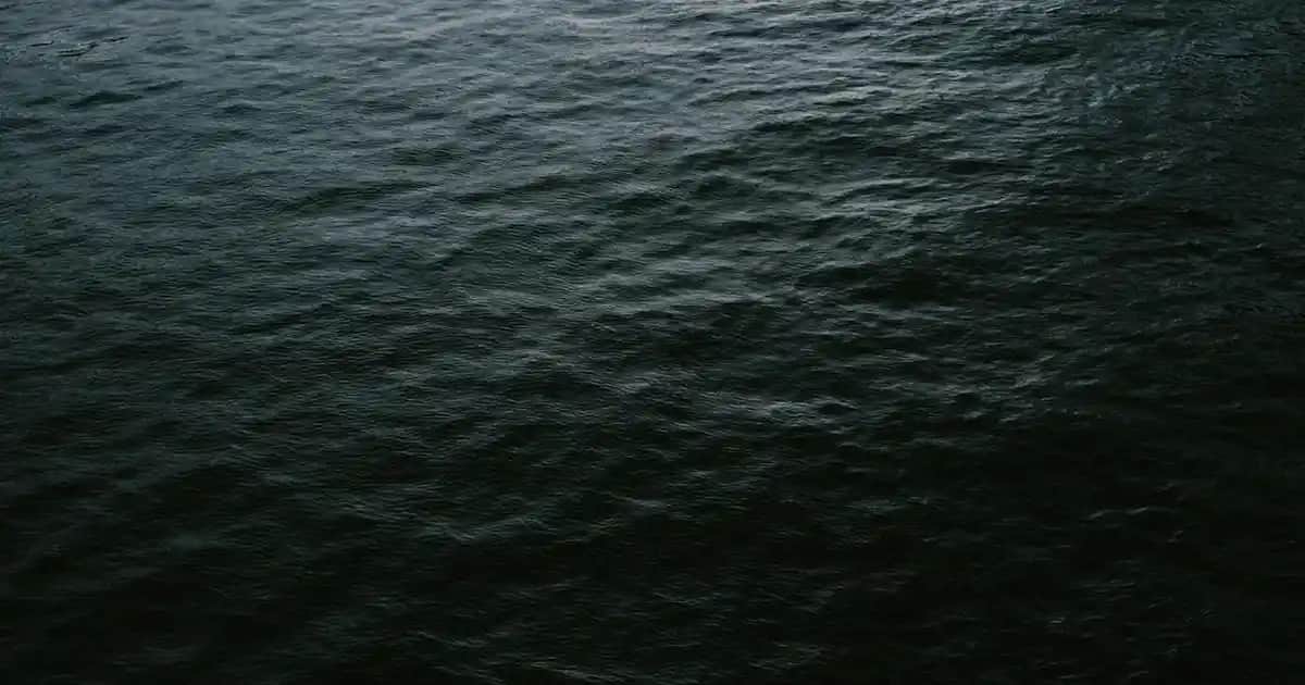 Yüz Sabunu Seçimi ve Kullanımı: Cilt Tipine Uygun En İyi Tavsiyeler