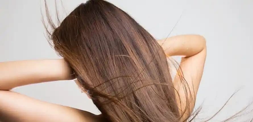 Saç Uzatan Kürler Hakkında Bilgi Eksikliği ve Temel Bakım Yaklaşımları