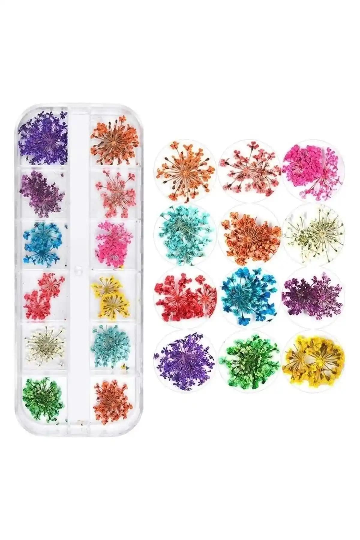 Venalisa Kurutulmuş Gerçek Çiçekli Üç Boyutlu Nail Art Süslemesi Model A Detaylı