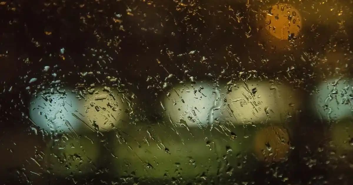 Arı Sütü, Polen ve Bal ile Doğal Güzellik ve Sağlık Kaynakları Rehberi