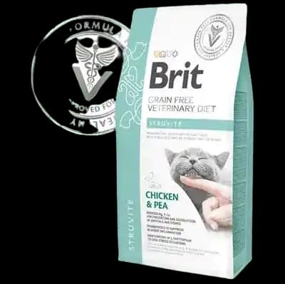 En İyi Hasta Maması Seçenekleri ve Sağlık İçin Doğru Tercihler Rehberi