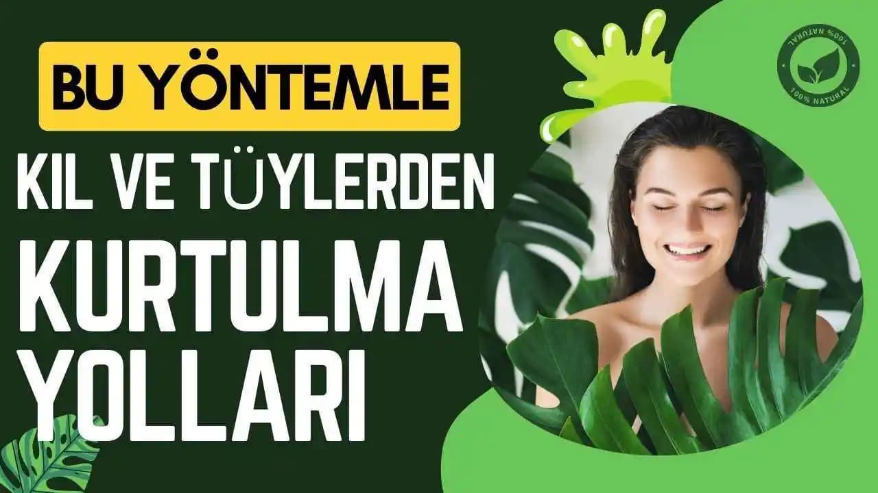 Evde Kıllardan Kurtulma Yöntemleri: Güvenli ve Etkili Çözüm Rehberi