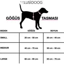 Göğüs Çeşitleri ve Estetik Bakımın Güncel Trendleri ve Seçenekleri