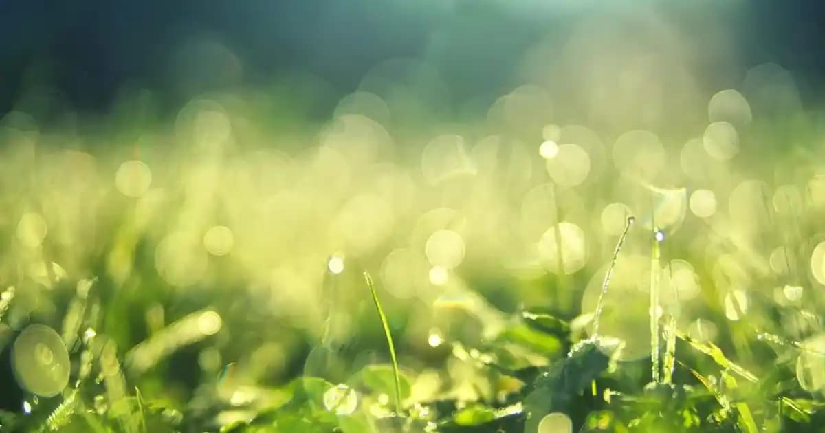 K2 ve D Vitamini ile Omega-3 Takviyeleri: Sağlıklı Yaşam İçin Bilinçli Kullanım Rehberi