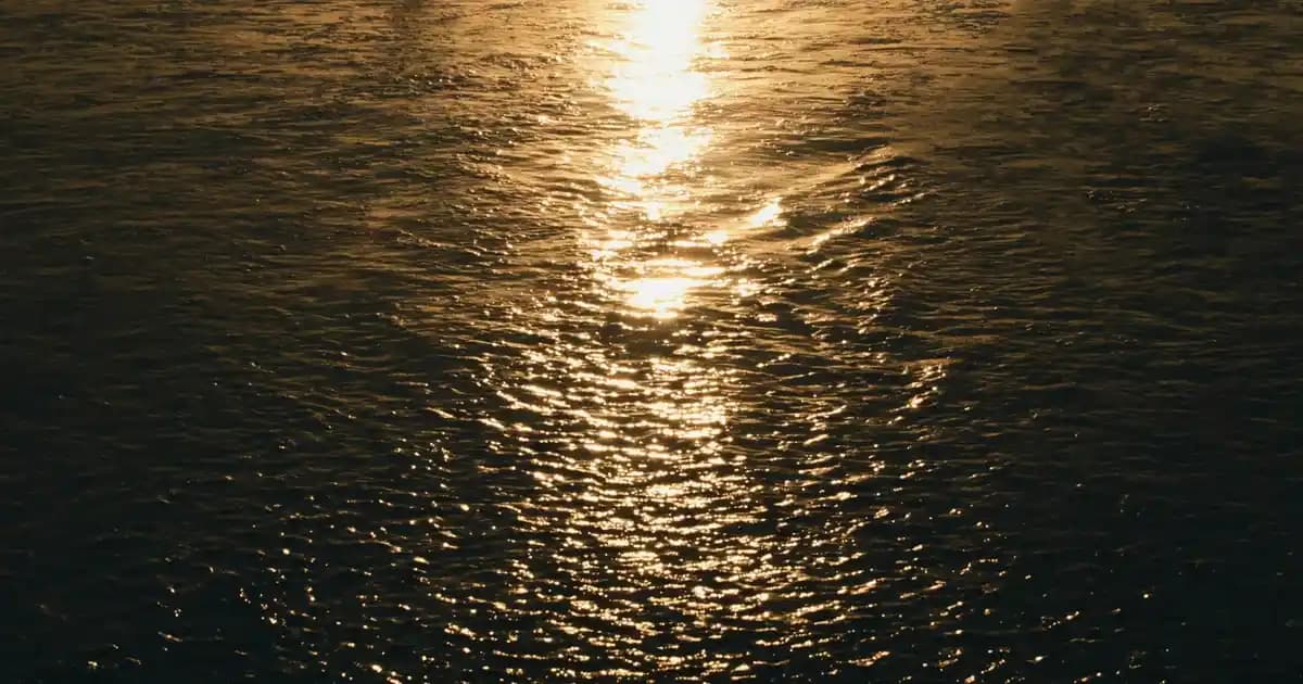 Okyanus ve Kozmetik: Doğal İçeriklerle Güzellik ve Sürdürülebilir Bakım Yaklaşımları (75-90 karakter)