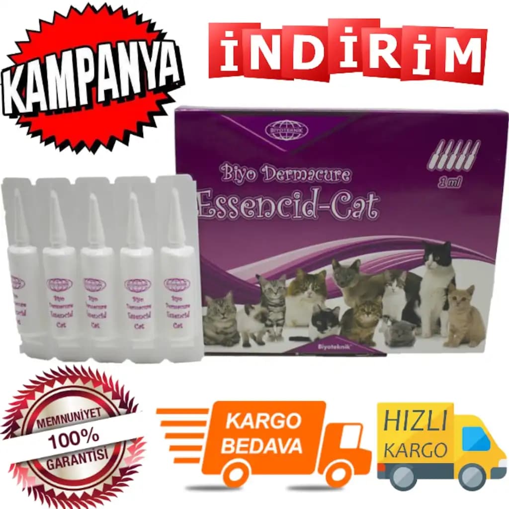 Pire Damlası Nedir, Nasıl Seçilir ve Güvenle Kullanılır