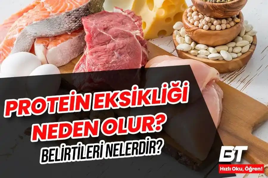Protein Eksikliği ve Çözüm Yolları: Kozmetik ve Kişisel Bakım Perspektifinden Yaklaşım
