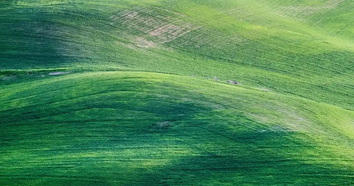 Renkli Kremler ve Kişisel Bakımda Kullanım Avantajları ile Renkli Dünyanın Yükselişi