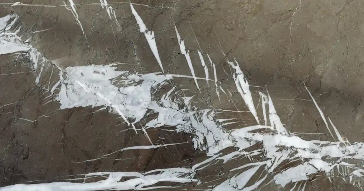 Saç Bitlerinden Kalıcı ve Güvenilir Kurtulma Yöntemleri Rehberi