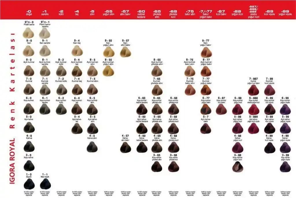 Saç Boyası Katalogları ve Trend Renkler: Doğru Seçim İçin Kapsamlı Rehber