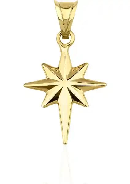 Fiyonk Kuyumculuk 14 Ayar Altın Mini Kuzey Yıldızı Kolye Ucu Günlük Kullanım İçin