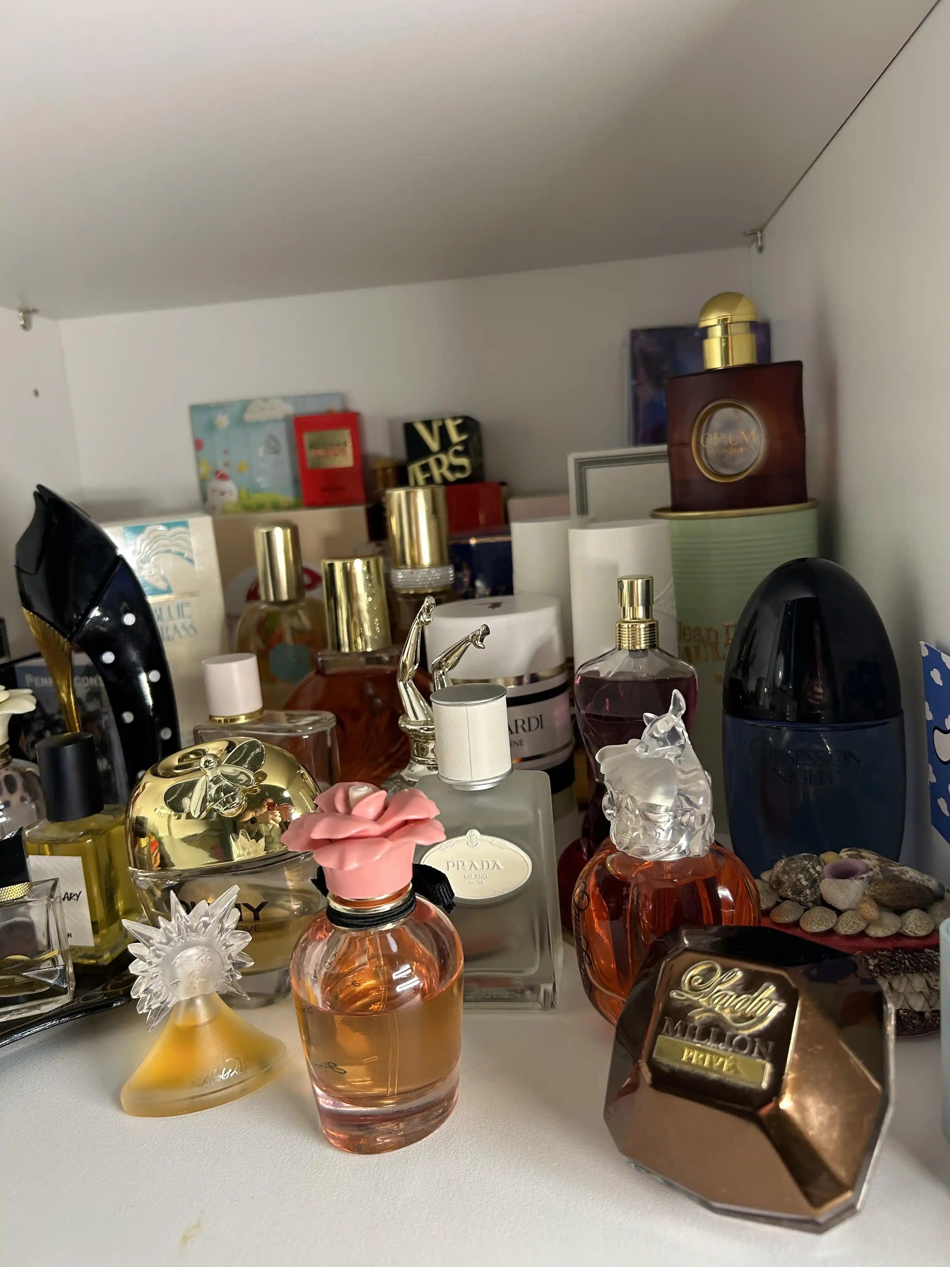 Parfüm Koleksiyonculuğu ve Meslekler: Çeşitli Alanlardan Bireylerin Tutkusu ve İlgi Alanları