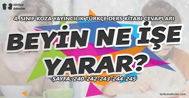 Koza Nedir ve Kozmetik Sektöründe Kullanım Alanları Hakkında Detaylı Bilgi