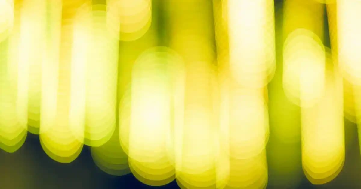 Ahtapotların Çok Yönlü Kol Yapısı ve İşlevleri: Denizlerin En Kompleks Organizmaları