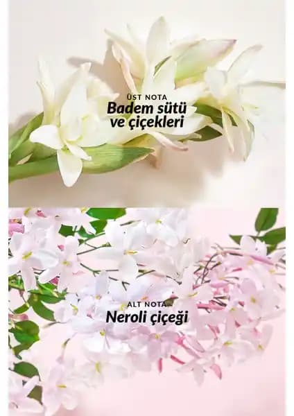 Avon Everlasting Kadın Parfümü: Çiçeksi ve Ferahlatıcı Kokusu ile Gün Boyu Tazelik