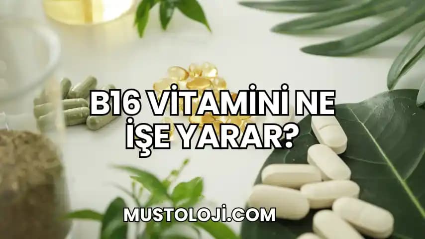 B16 Vitamini: Sağlık ve Güzellikteki Rolü ve Faydaları Hakkında Bilmeniz Gerekenler