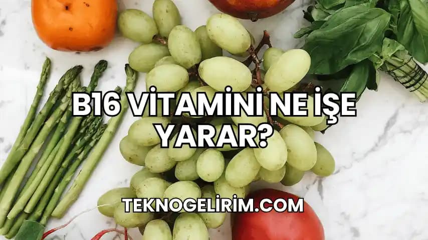 B16 Vitamini ve Güzellik ile Sağlık İlişkisi Üzerine Bilimsel Değerlendirme