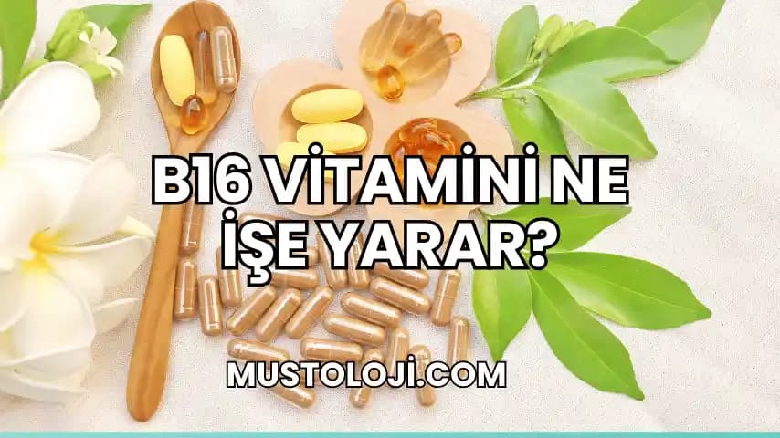 B16 Vitamini ve Kişisel Bakım Ürünlerindeki Rolü Hakkında Güncel Bilgiler