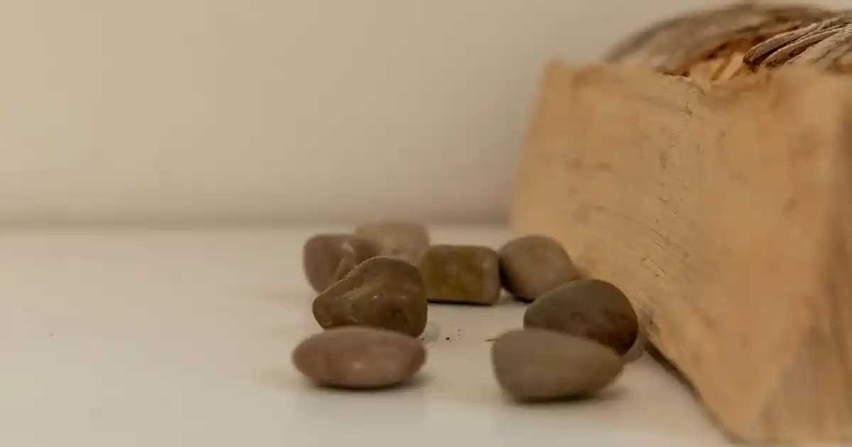 Baobab Yağı ve Doğal Kozmetikte Güçlü Etkileri: Cilt Sağlığı ve Güzellik İçin Doğal Bir Seçenek